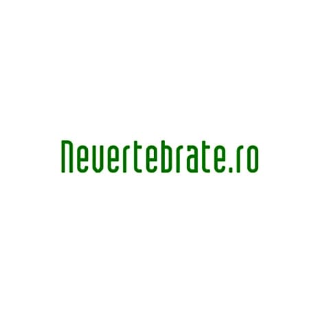 Nevertebrate