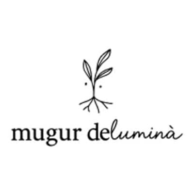 Voucher Mugur de Lumină