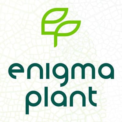 Voucher Enigma Plant